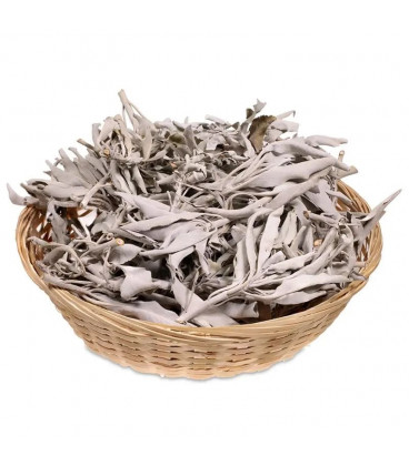 Kadzidło susz Biała Szałwia (Salvia Apiana) - luzem 1kg - zdjęcie główne produktu