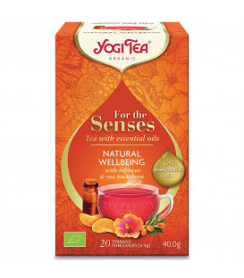 Herbata BIO Naturalny dobrostan 17 saszetek YOGI TEA