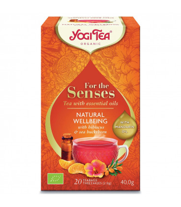 Herbata BIO Naturalny dobrostan 17 saszetek YOGI TEA