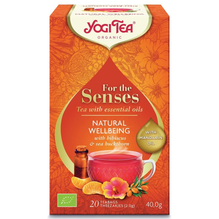 Herbata BIO Naturalny dobrostan 17 saszetek YOGI TEA