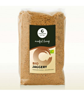 Organiczny Jagger Ajurwedyjski Cukier Trzcinowy 400g Cosmoveda