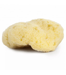 Organiczna gąbka z Morza Śródziemnego 9-10cm Najel