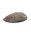 Green Abalone smudge shell Haliotis Fulgens ±12-16cm