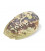Rainbow Abalone (Paua) Haliotis Iris 12.5 - 15.5 cm