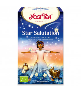 Organiczna herbata Star Salutation, 17 BIO torebek YOGI TEA