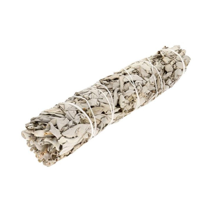 Large California White Sage (Salvia Apiana)