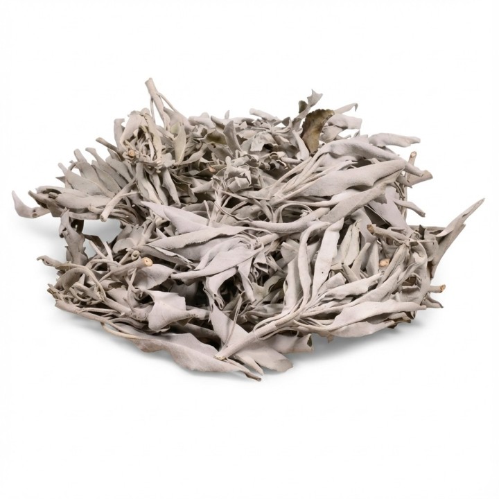 Kadzidło susz Biała Szałwia (Salvia Apiana) - luzem 1kg - zdjęcie produktu