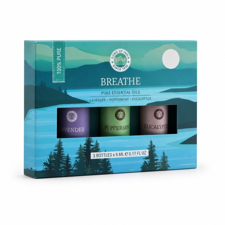 3 Aromatherapy 5 ml. Essential Oil Amber Bottles (Set of 3) in AREO05GB Brethe - zdjęcie produktu