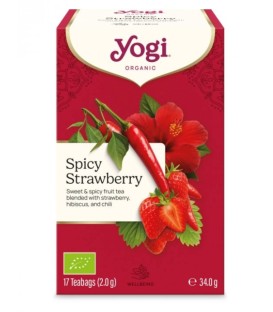 SPICY STRAWBERRY Pikantna truskawka BIO YOGI