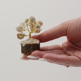 Small Gomati Chakra Circle Stone Trees - 15 stones - zdjęcie produktu