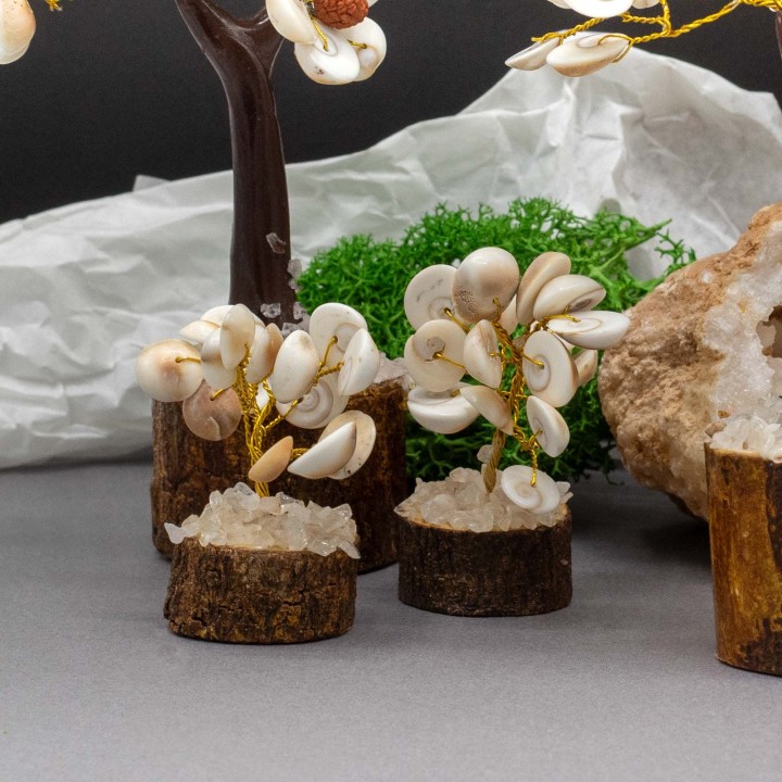 Small Gomati Chakra Circle Stone Trees - 15 stones - zdjęcie produktu