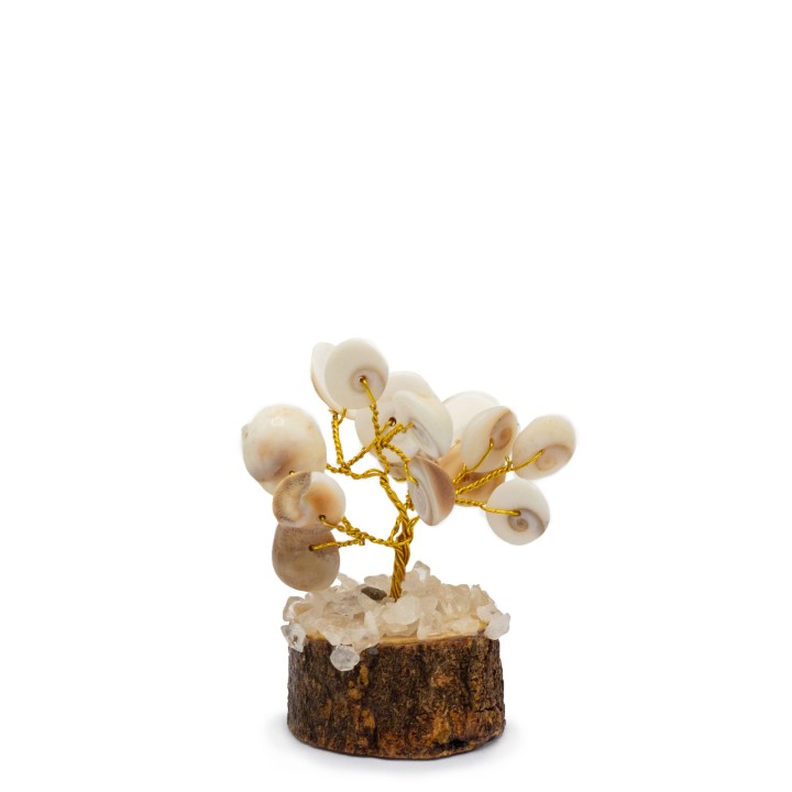 Small Gomati Chakra Circle Stone Trees - 15 stones - zdjęcie produktu
