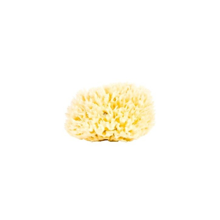 Organiczna gąbka z Morza Śródziemnego 9-10cm Najel