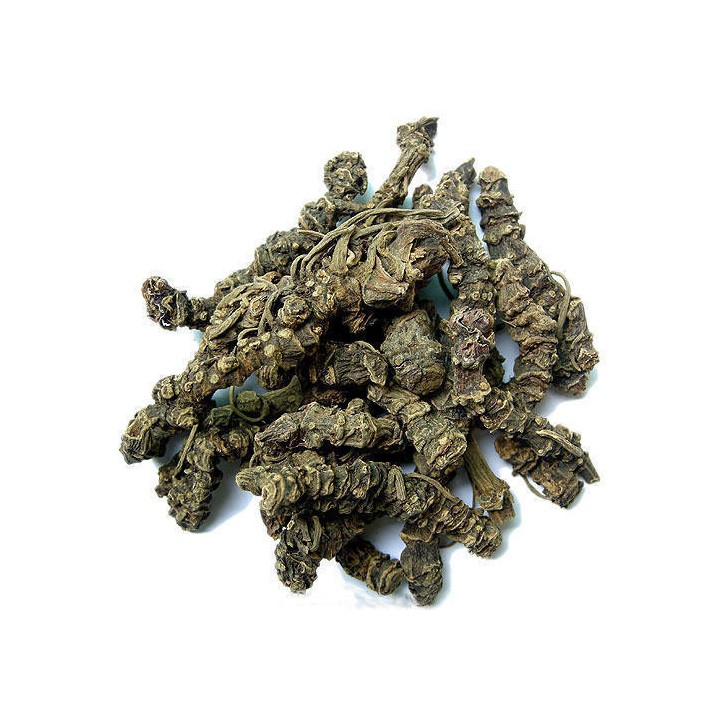 Kadzidło naturalne Waleriana Indyjska 25 g. Song of India