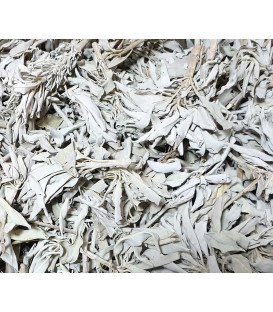 Biała Szałwia liście 100g
