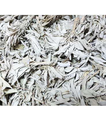Biała Szałwia liście 100g