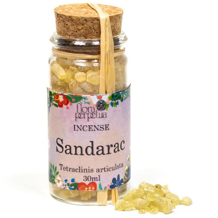 Sandarak z Maroko, kadzidło drzewne (szklana buteleczka z korkiem) 7 g 30 ml Flora Perpetua