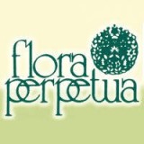 Flora Perpetua